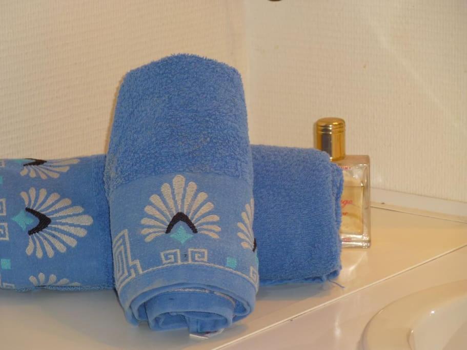 Chambre Chez L'Habitant - Proche Du Centre - Salle D'Eau Et Wc Prives Bordeaux Dış mekan fotoğraf